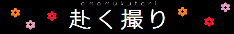s뉀p