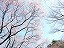 Vh䉑