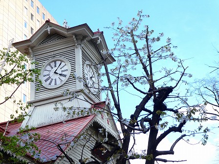 札幌市時計台で見つけた季節の写真を展示しています
