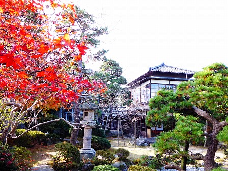 北方文化博物館新潟分館で見つけた季節の写真を展示しています