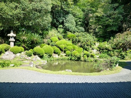 清見寺で見つけた季節の写真を展示しています